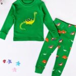 Green dinosaur pajama set with white background