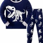 Two-piece dinosaur print pajamas for little boy blue and gray with white background